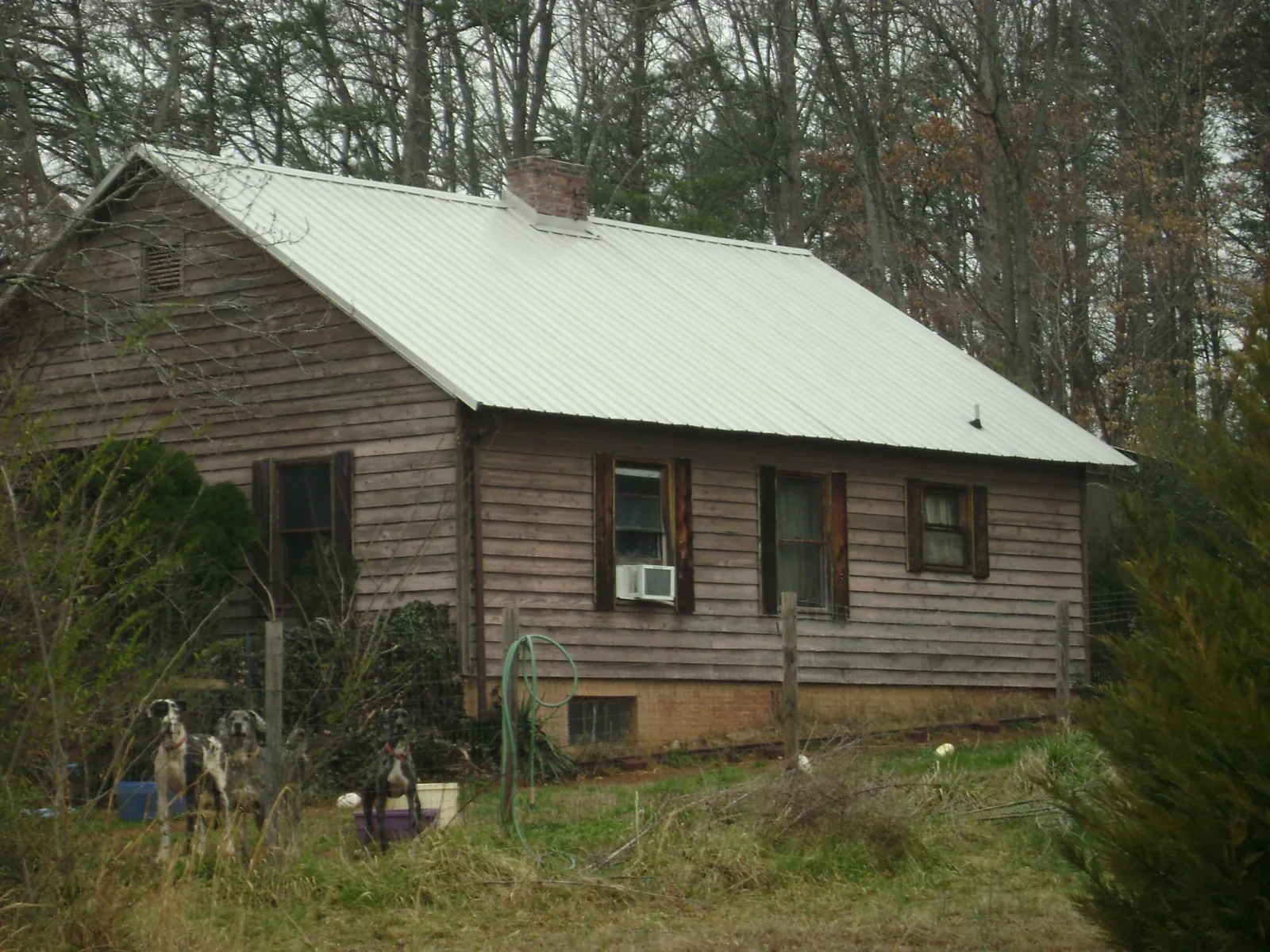 White metal roof on an old wood sided farmhouse, from a Metal Roof Installation job in Kyburz
